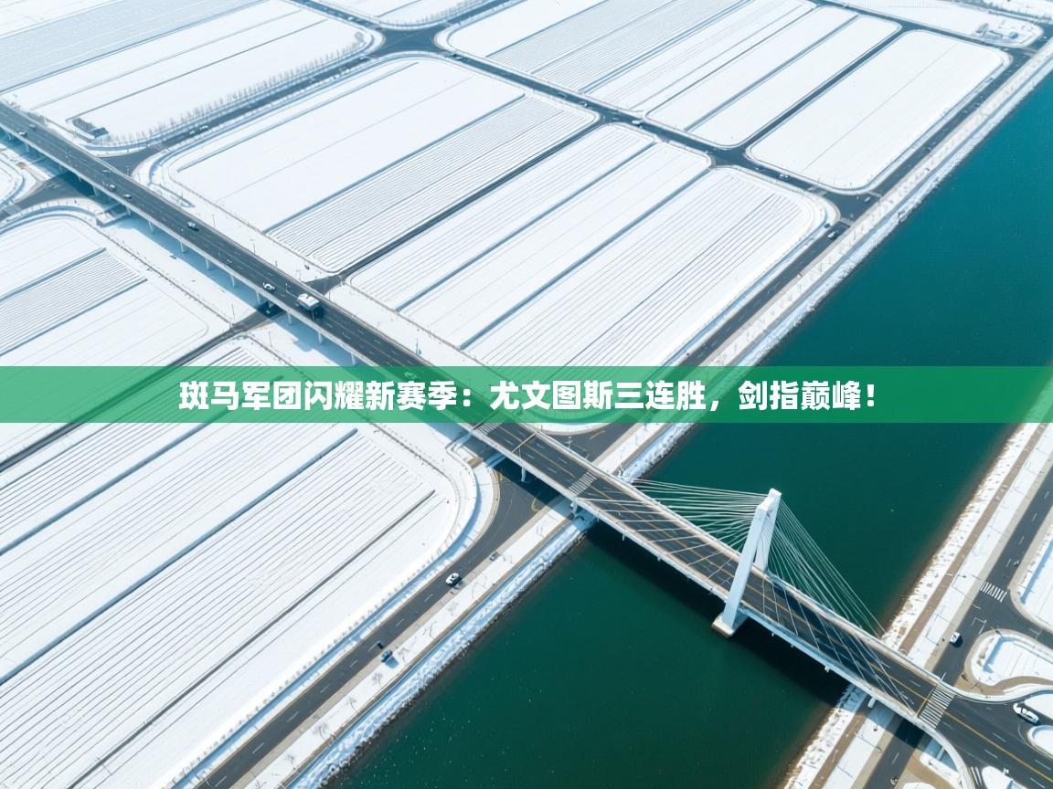 斑马军团闪耀新赛季：尤文图斯三连胜，剑指巅峰！  第1张